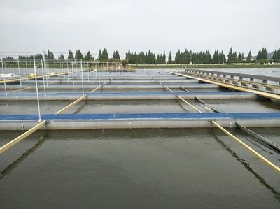 湖州市副市长施根宝一行到德清调研，点赞现代渔业工作与水处理成效